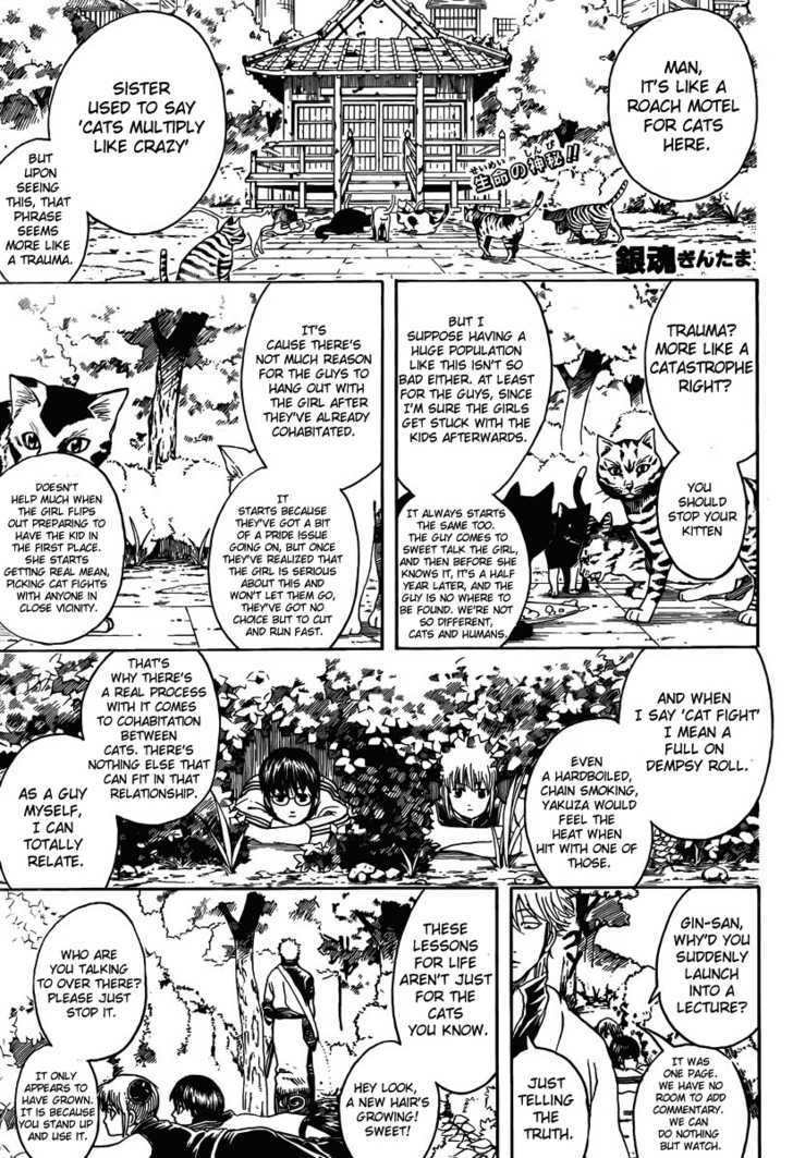 Gintama Chapter 275 page 1 - Chapter 275 : When Looking For Something. Try Thinking From It's Point Of View