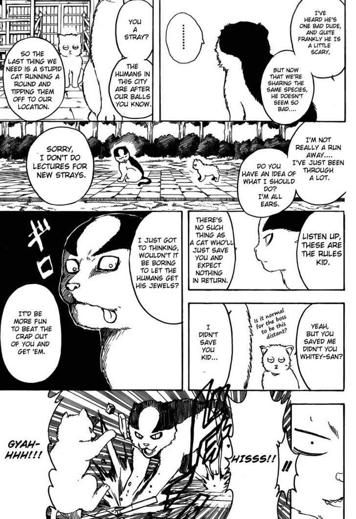 Gintama Chapter 275 page 11 - Chapter 275 : When Looking For Something. Try Thinking From It's Point Of View