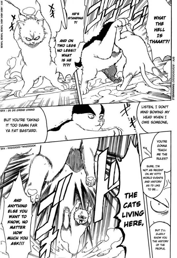 Gintama Chapter 275 page 13 - Chapter 275 : When Looking For Something. Try Thinking From It's Point Of View