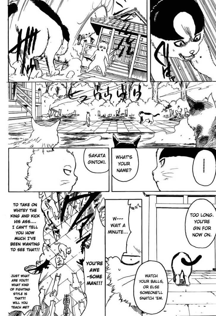 Gintama Chapter 275 page 14 - Chapter 275 : When Looking For Something. Try Thinking From It's Point Of View