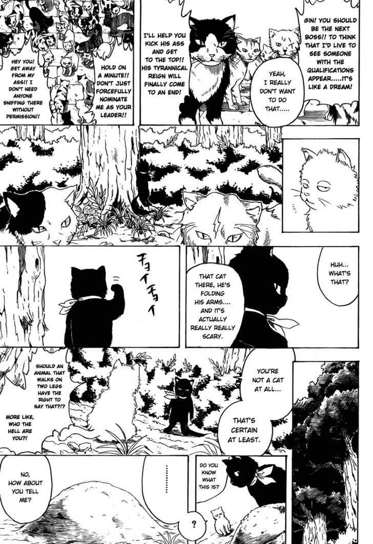 Gintama Chapter 275 page 15 - Chapter 275 : When Looking For Something. Try Thinking From It's Point Of View