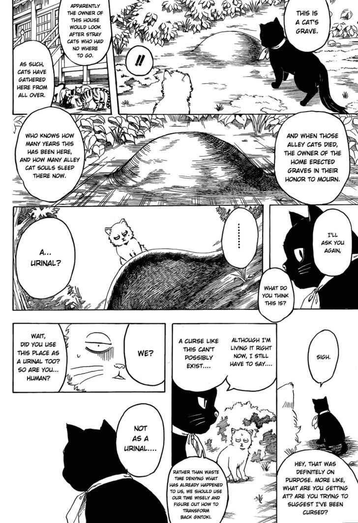 Gintama Chapter 275 page 16 - Chapter 275 : When Looking For Something. Try Thinking From It's Point Of View