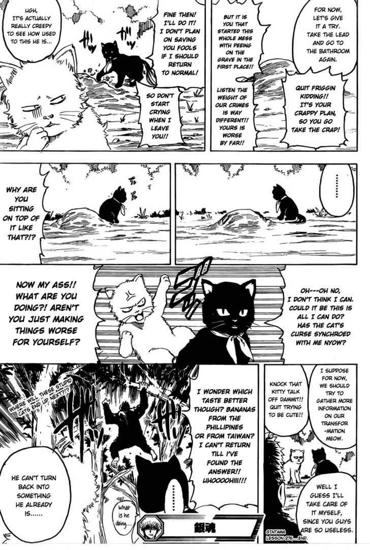 Gintama Chapter 275 page 19 - Chapter 275 : When Looking For Something. Try Thinking From It's Point Of View