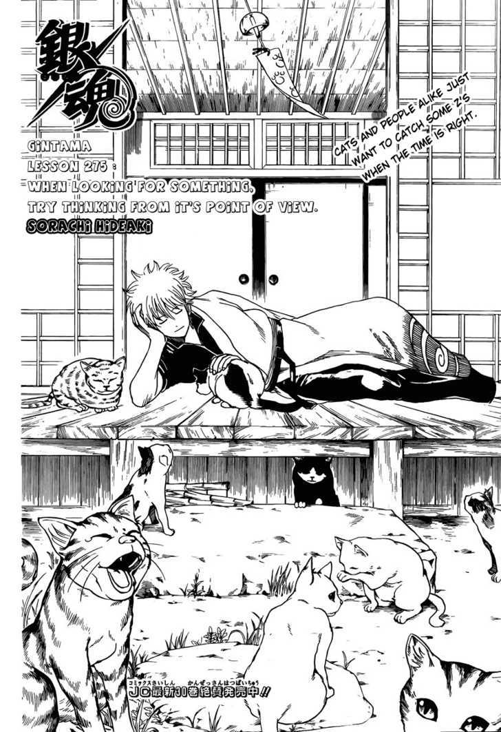 Gintama Chapter 275 page 4 - Chapter 275 : When Looking For Something. Try Thinking From It's Point Of View