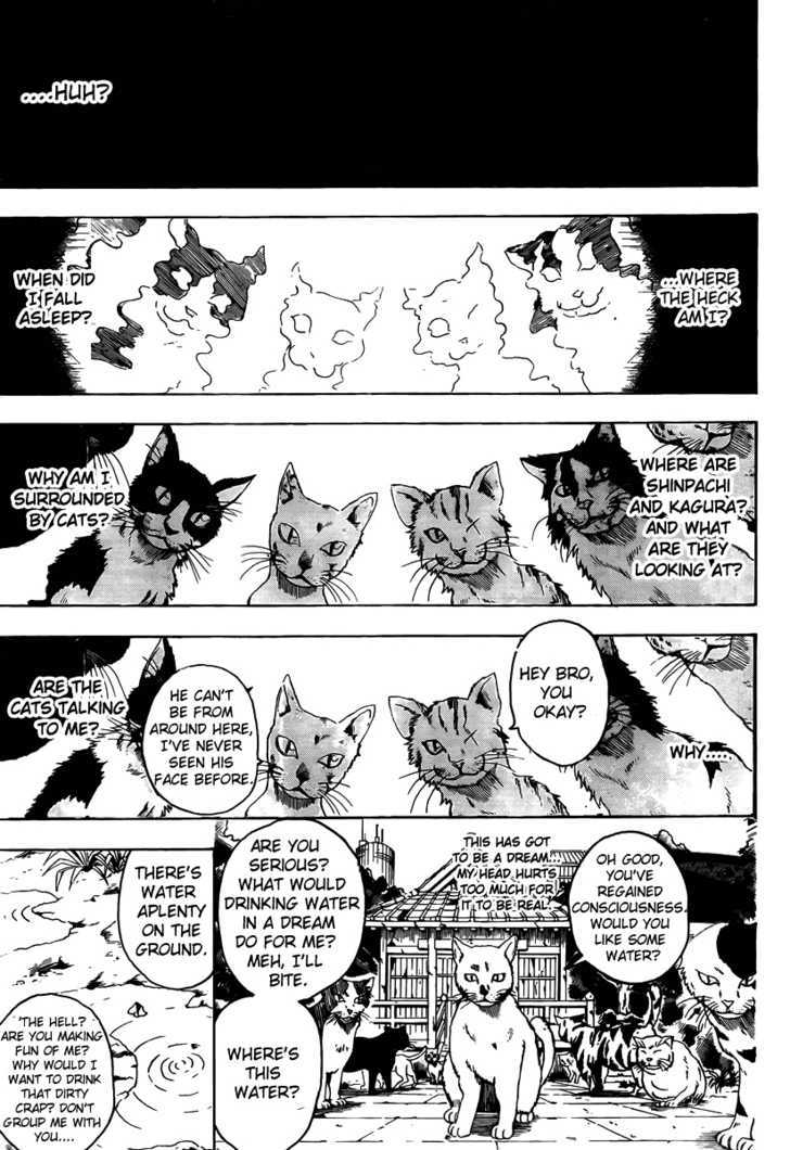 Gintama Chapter 275 page 5 - Chapter 275 : When Looking For Something. Try Thinking From It's Point Of View