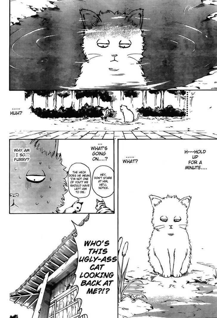 Gintama Chapter 275 page 6 - Chapter 275 : When Looking For Something. Try Thinking From It's Point Of View