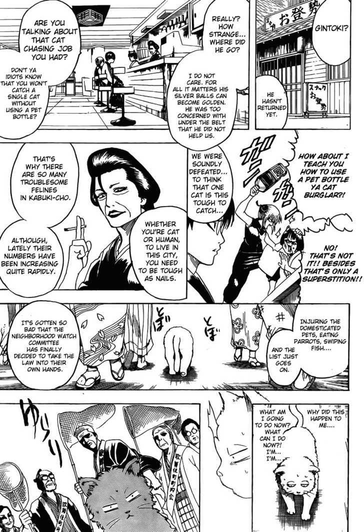 Gintama Chapter 275 page 7 - Chapter 275 : When Looking For Something. Try Thinking From It's Point Of View