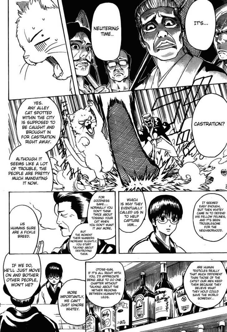 Gintama Chapter 275 page 8 - Chapter 275 : When Looking For Something. Try Thinking From It's Point Of View