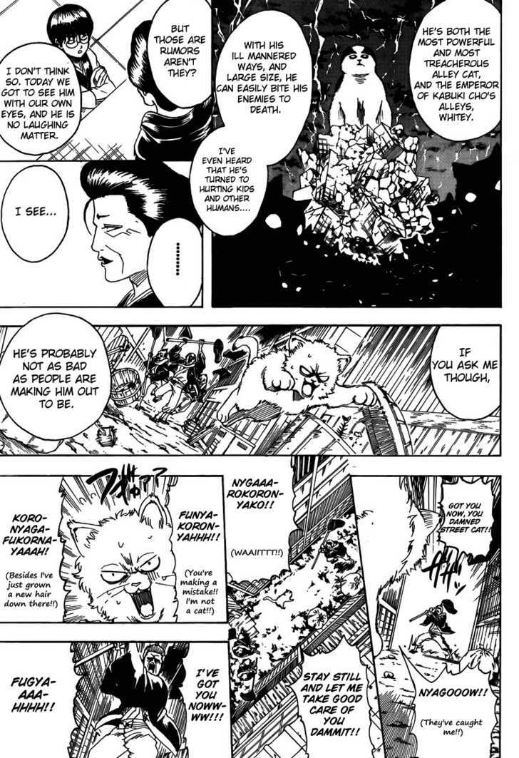 Gintama Chapter 275 page 9 - Chapter 275 : When Looking For Something. Try Thinking From It's Point Of View