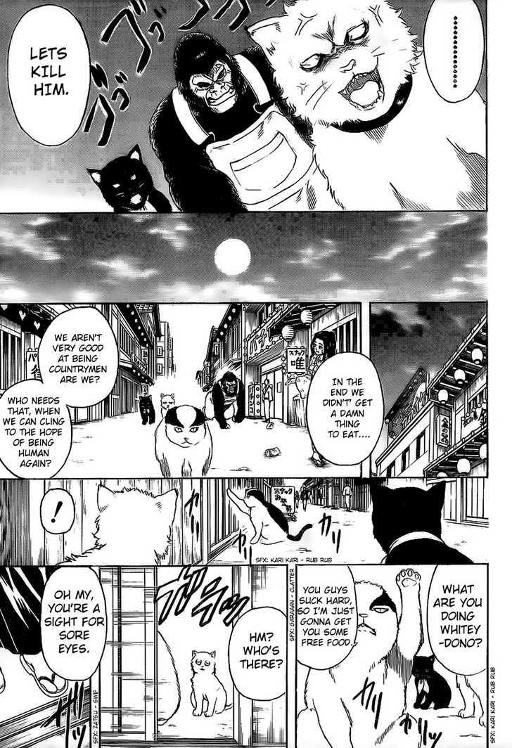 Gintama Chapter 276 page 17 - Chapter 276 : Look Behind You Shimura' Actually Means Watch Your Back, Shimura's Coming!!