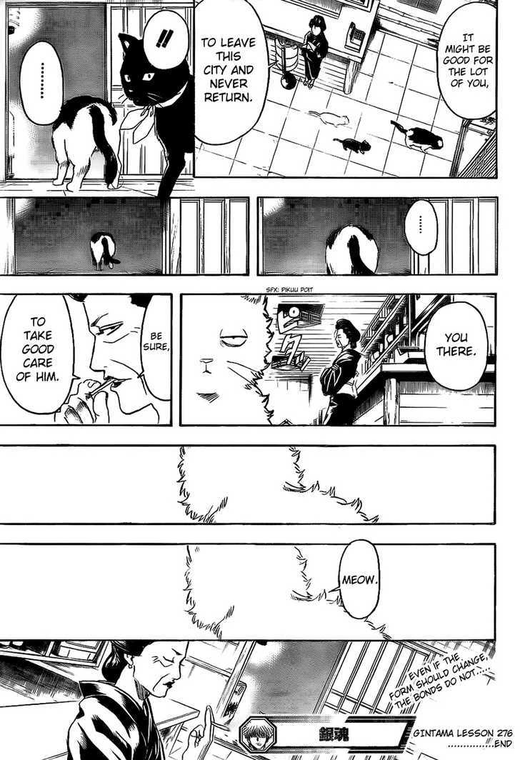 Gintama Chapter 276 page 19 - Chapter 276 : Look Behind You Shimura' Actually Means Watch Your Back, Shimura's Coming!!