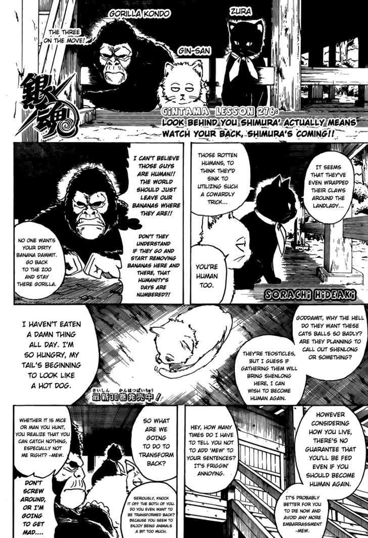 Gintama Chapter 276 page 2 - Chapter 276 : Look Behind You Shimura' Actually Means Watch Your Back, Shimura's Coming!!