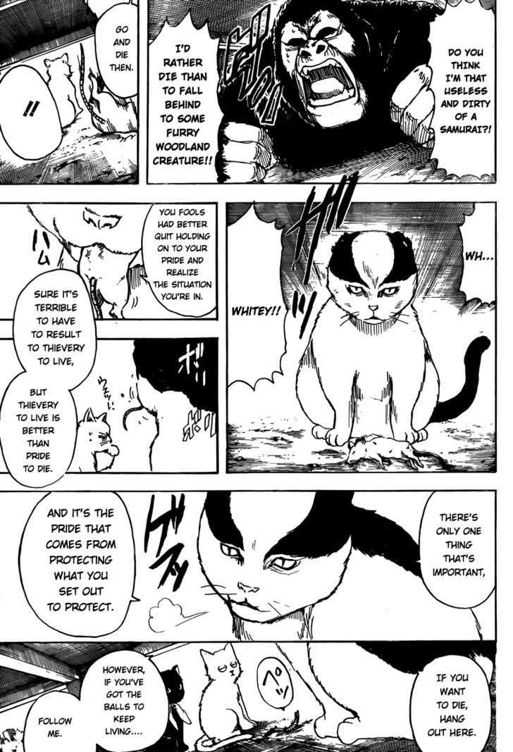 Gintama Chapter 276 page 3 - Chapter 276 : Look Behind You Shimura' Actually Means Watch Your Back, Shimura's Coming!!