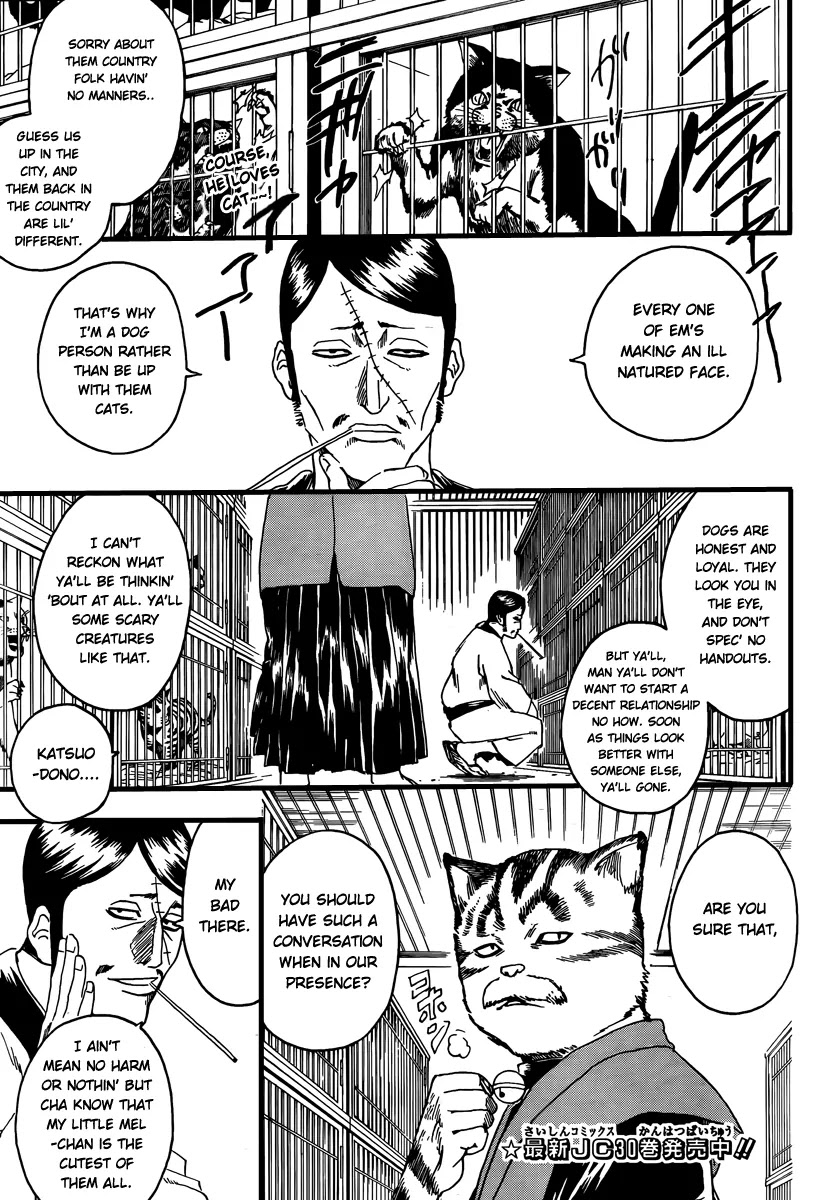 Gintama Chapter 277 page 1 - Chapter 277 : Living freely isn't crazy, it's just by your own rules.