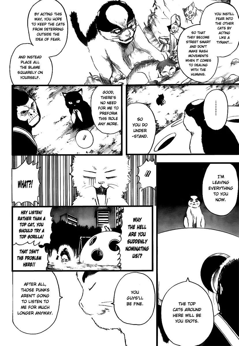 Gintama Chapter 277 page 14 - Chapter 277 : Living freely isn't crazy, it's just by your own rules.