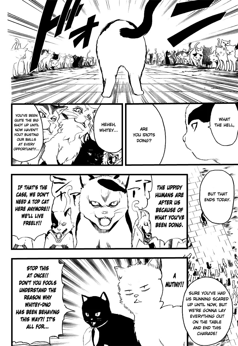 Gintama Chapter 277 page 16 - Chapter 277 : Living freely isn't crazy, it's just by your own rules.
