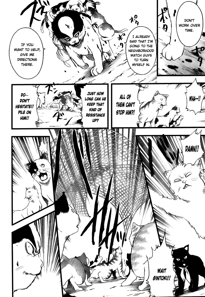 Gintama Chapter 277 page 18 - Chapter 277 : Living freely isn't crazy, it's just by your own rules.