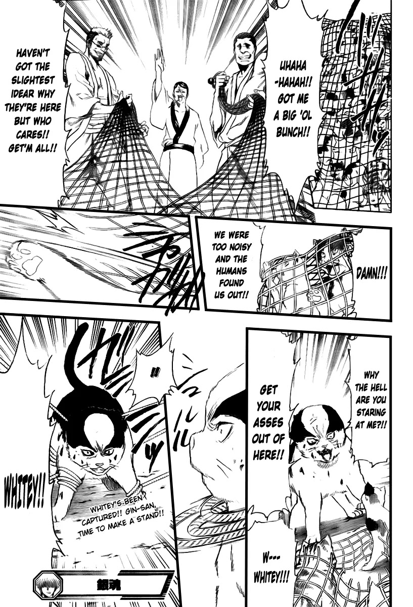 Gintama Chapter 277 page 19 - Chapter 277 : Living freely isn't crazy, it's just by your own rules.