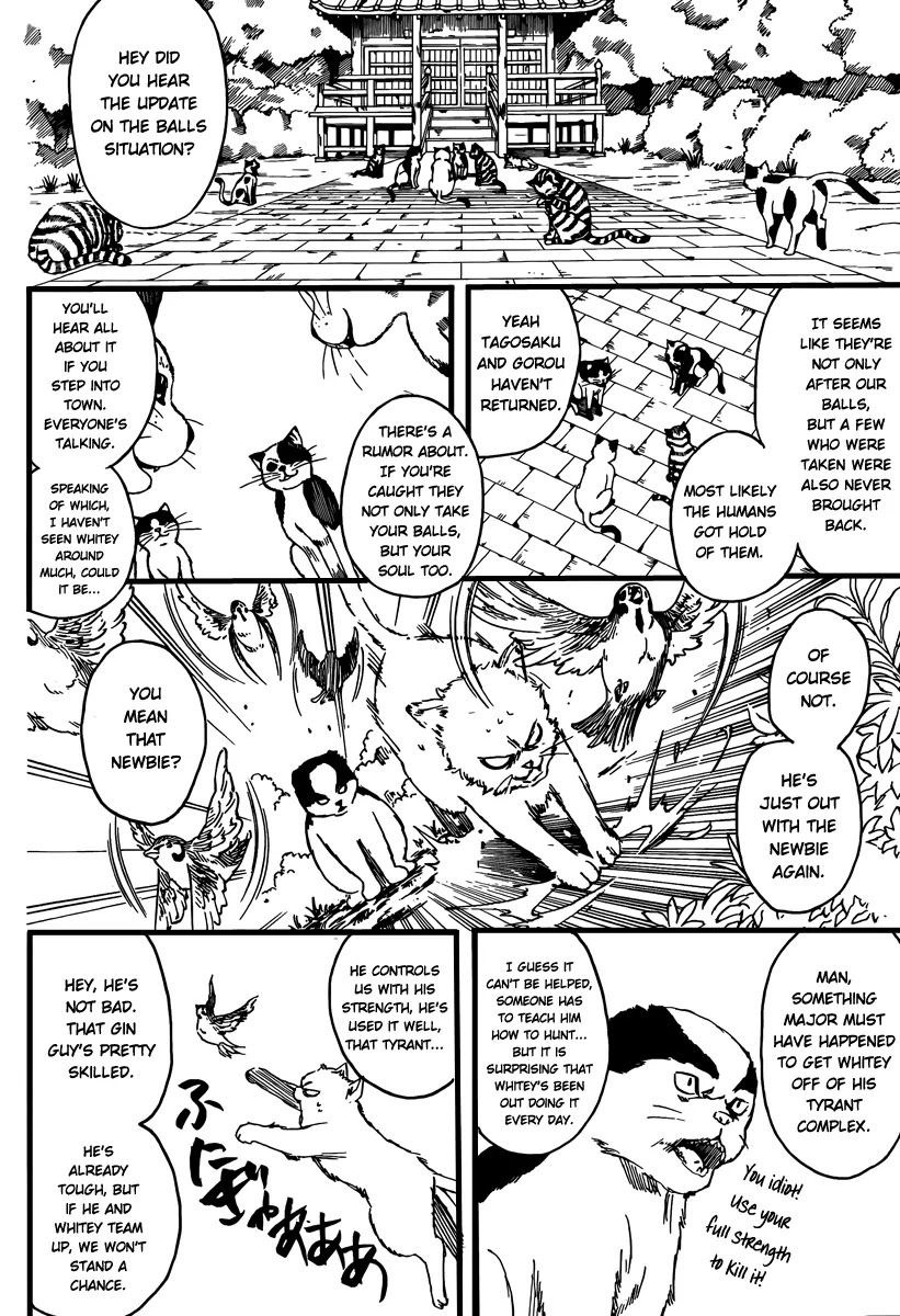 Gintama Chapter 277 page 4 - Chapter 277 : Living freely isn't crazy, it's just by your own rules.