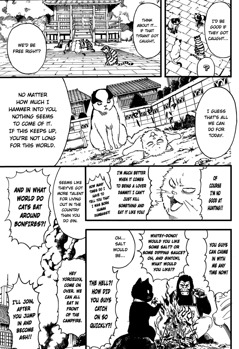 Gintama Chapter 277 page 5 - Chapter 277 : Living freely isn't crazy, it's just by your own rules.