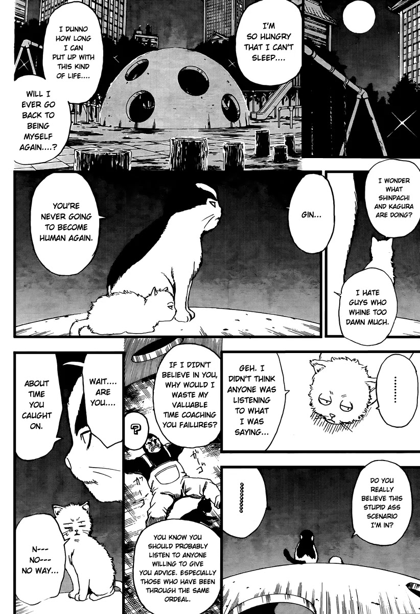 Gintama Chapter 277 page 6 - Chapter 277 : Living freely isn't crazy, it's just by your own rules.