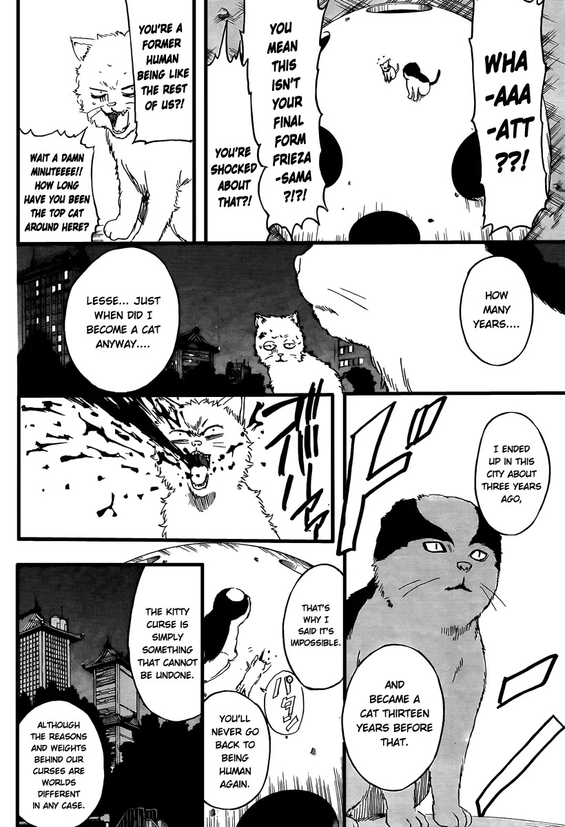Gintama Chapter 277 page 8 - Chapter 277 : Living freely isn't crazy, it's just by your own rules.