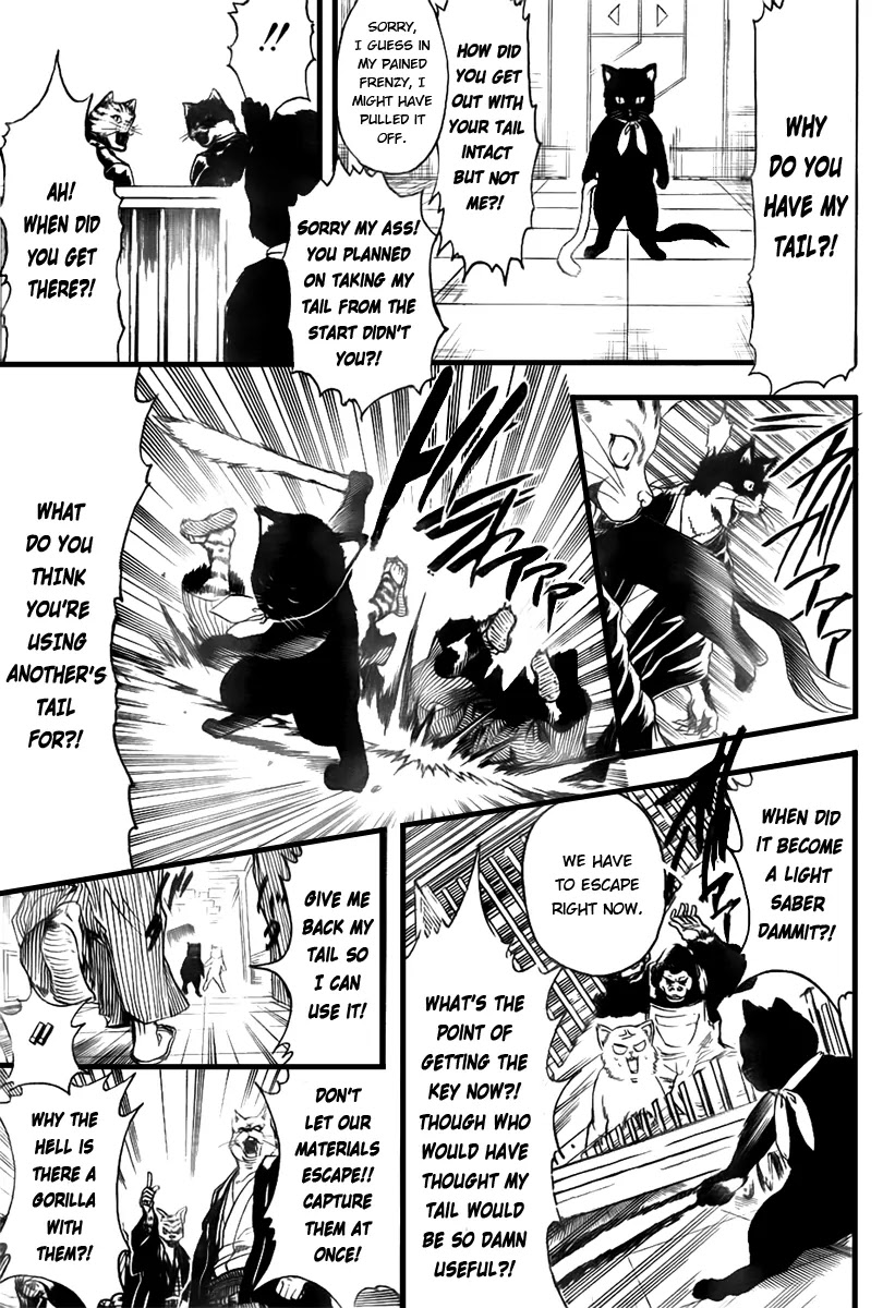 Gintama Chapter 278 page 11 - Chapter 278 : Drag Idiots by Their Tails