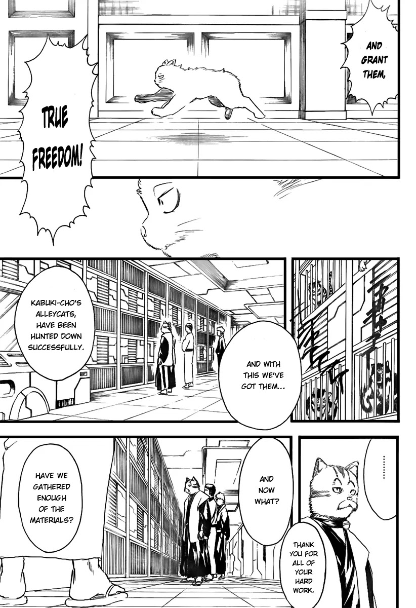 Gintama Chapter 278 page 13 - Chapter 278 : Drag Idiots by Their Tails