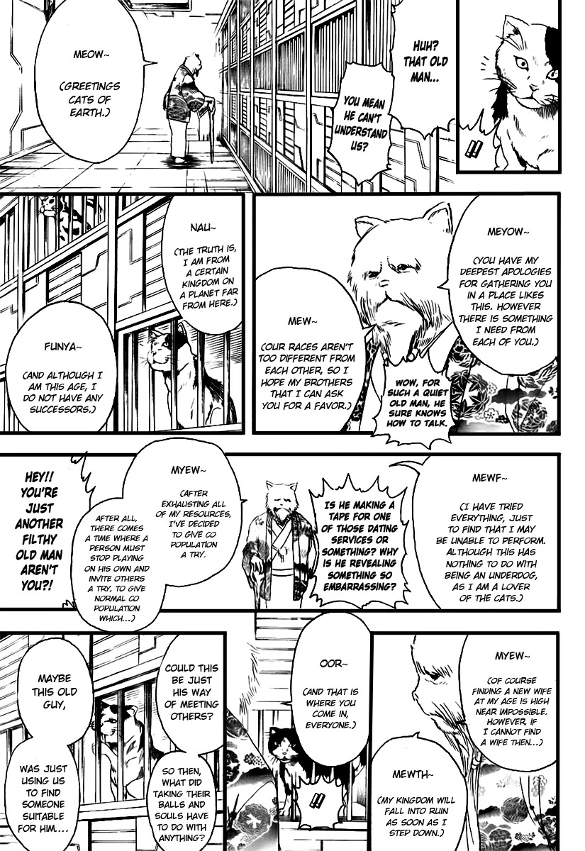 Gintama Chapter 278 page 15 - Chapter 278 : Drag Idiots by Their Tails