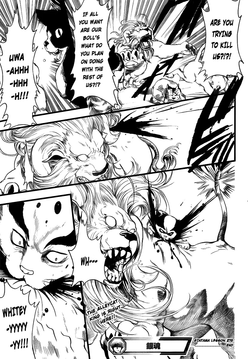 Gintama Chapter 278 page 19 - Chapter 278 : Drag Idiots by Their Tails