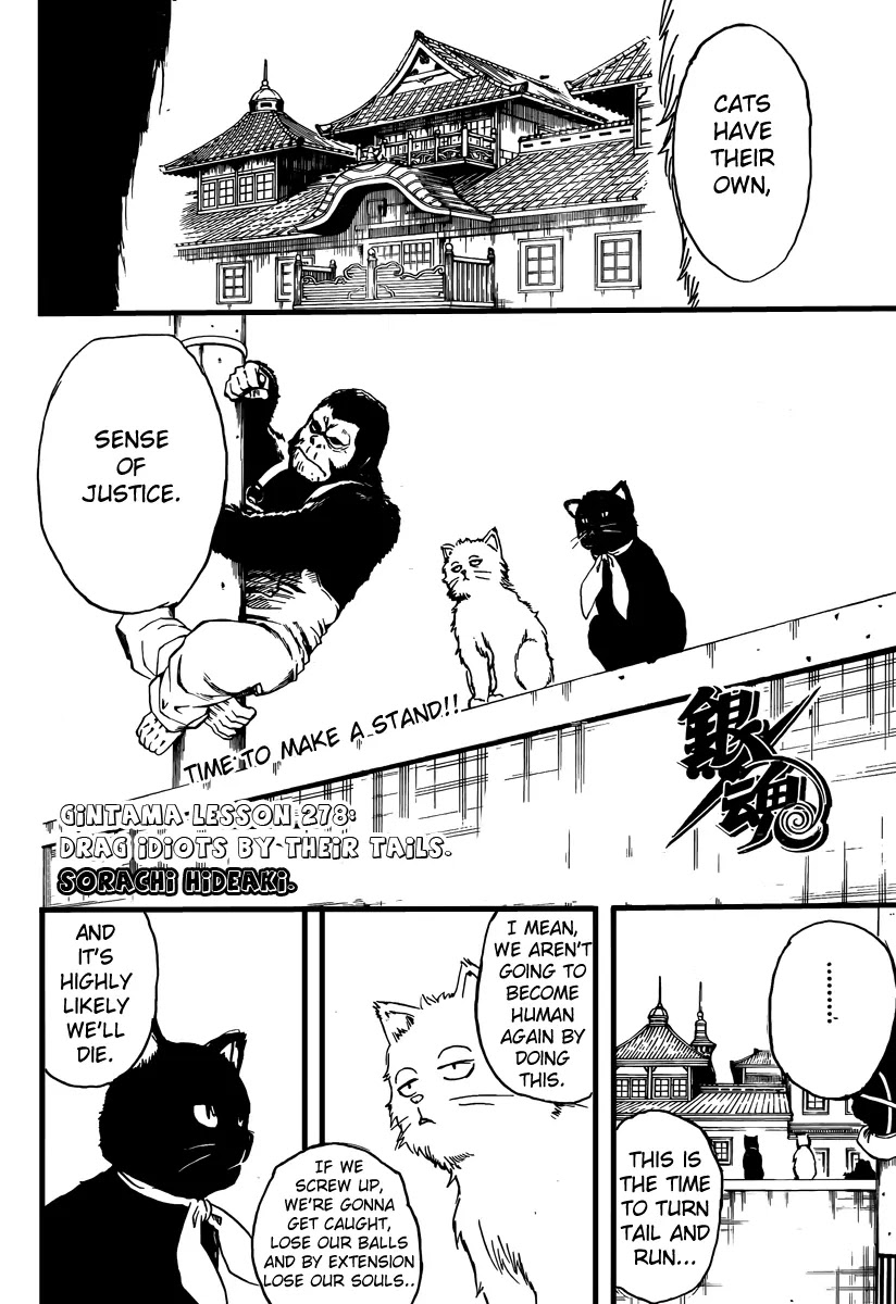 Gintama Chapter 278 page 4 - Chapter 278 : Drag Idiots by Their Tails