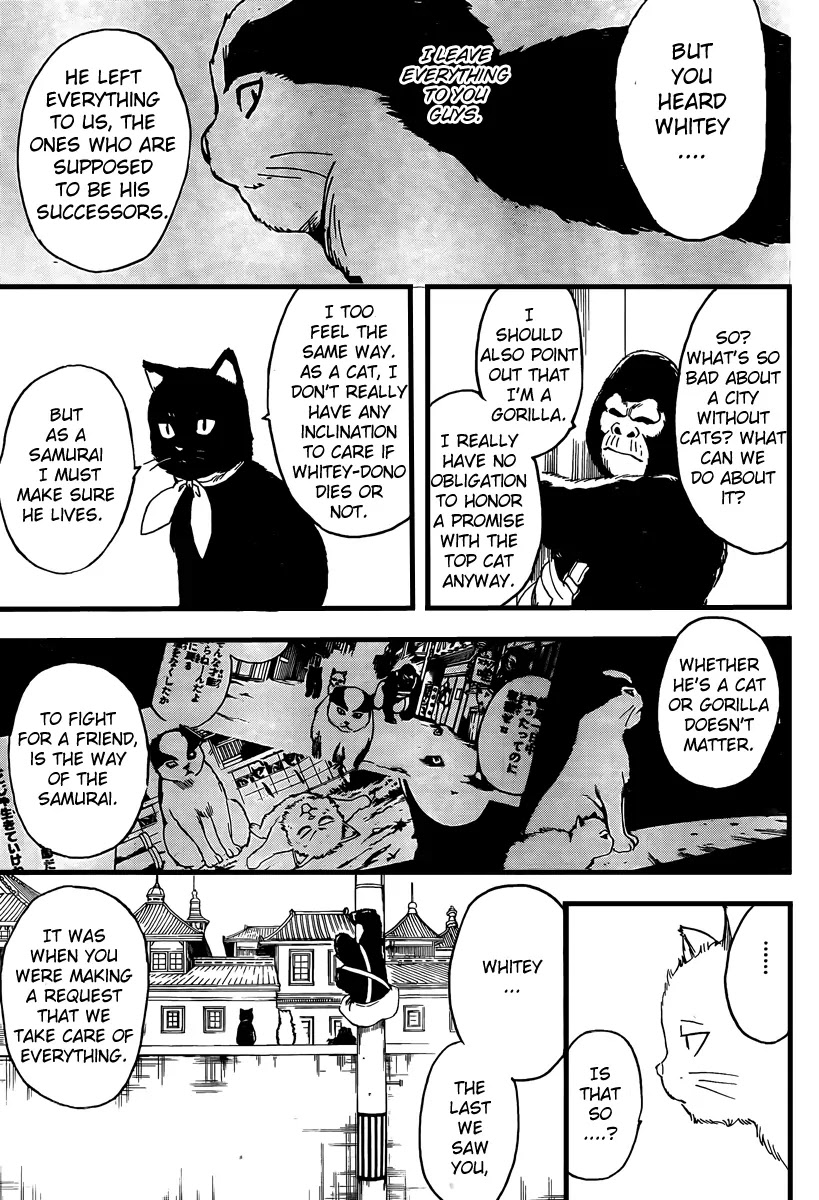 Gintama Chapter 278 page 5 - Chapter 278 : Drag Idiots by Their Tails