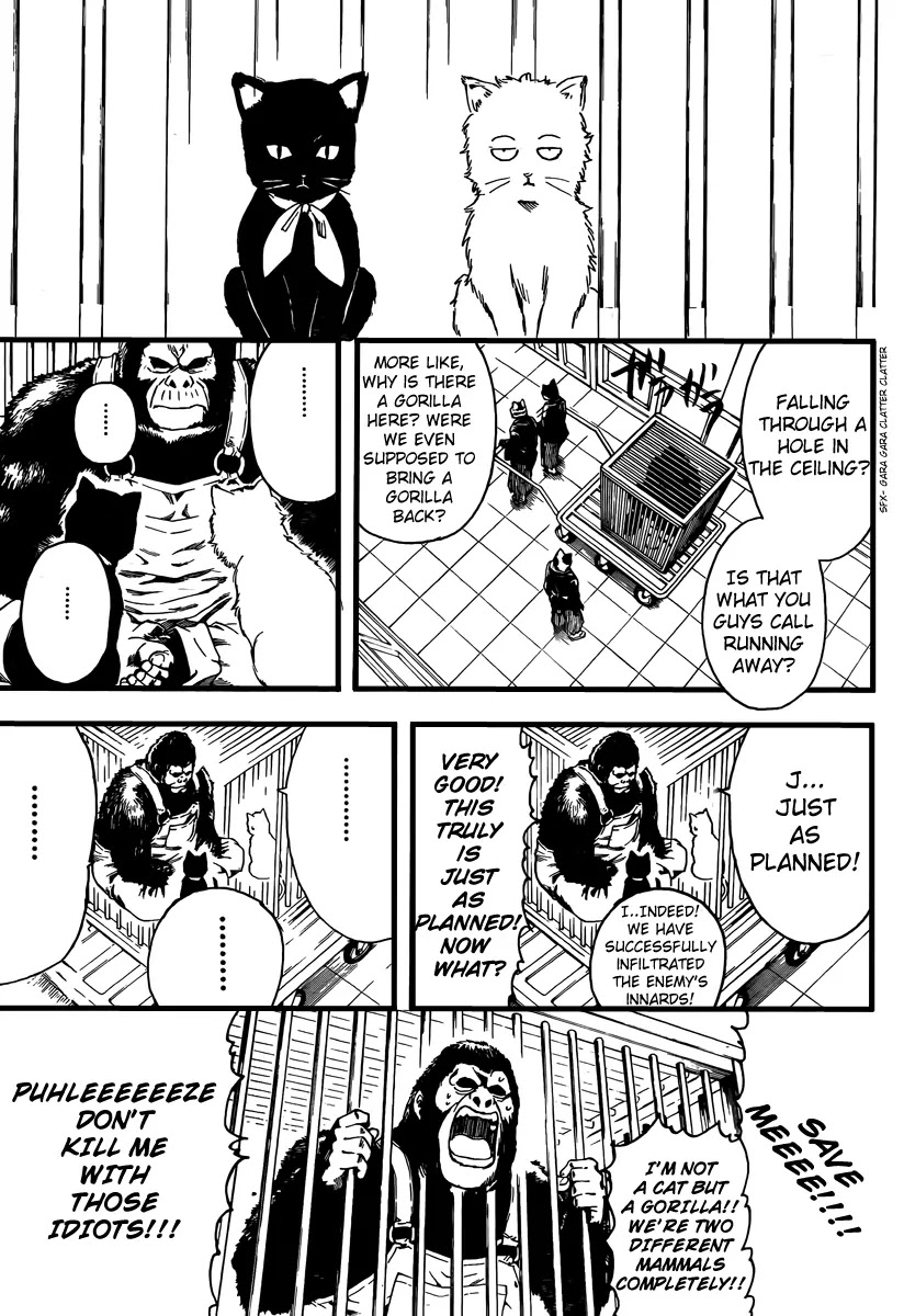 Gintama Chapter 278 page 7 - Chapter 278 : Drag Idiots by Their Tails