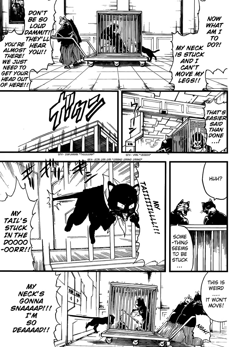 Gintama Chapter 278 page 9 - Chapter 278 : Drag Idiots by Their Tails