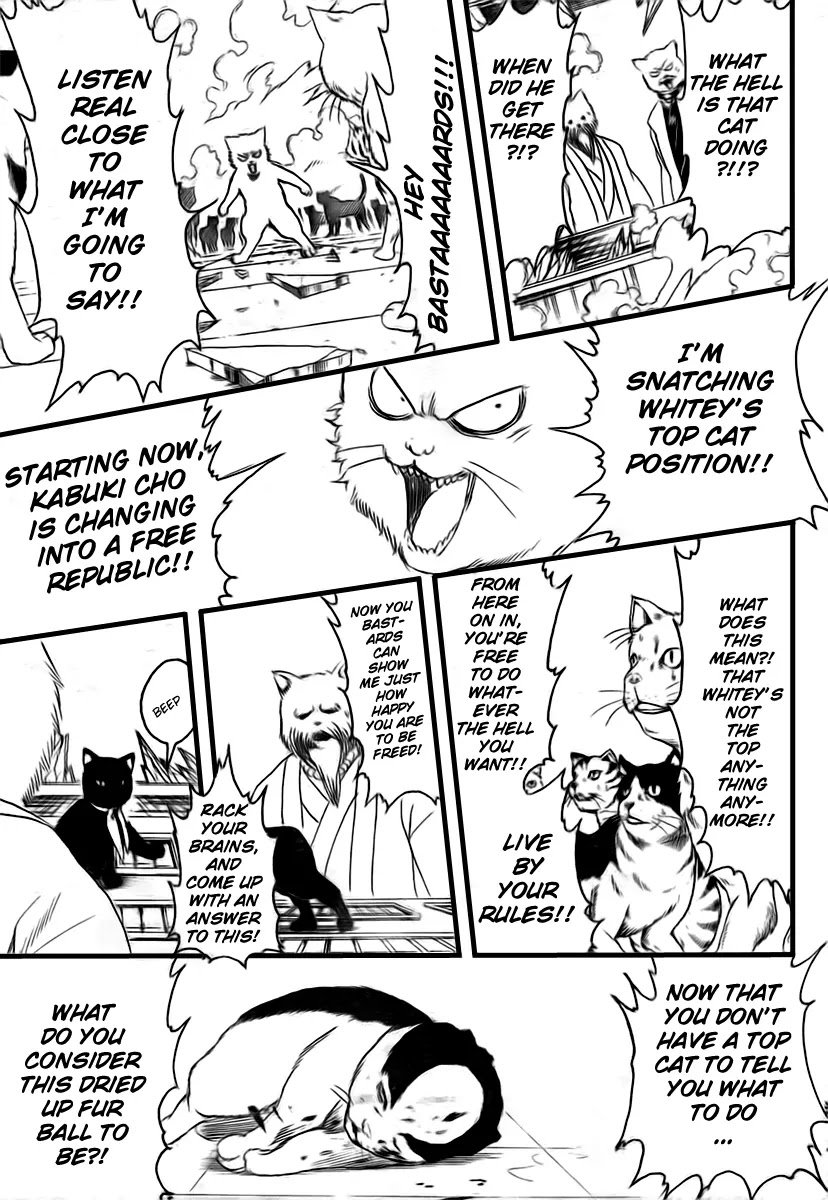 Gintama Chapter 279 page 11 - Chapter 279 : Kabuki cho Alleycat blues
