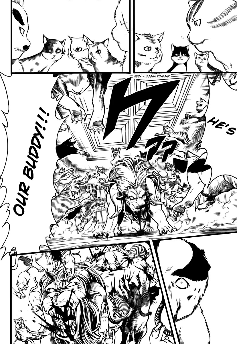 Gintama Chapter 279 page 12 - Chapter 279 : Kabuki cho Alleycat blues