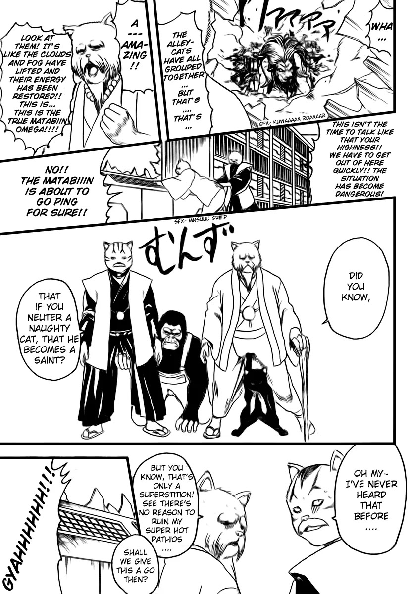 Gintama Chapter 279 page 13 - Chapter 279 : Kabuki cho Alleycat blues