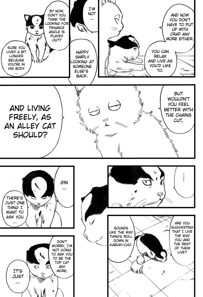 Gintama Chapter 279 page 15 - Chapter 279 : Kabuki cho Alleycat blues