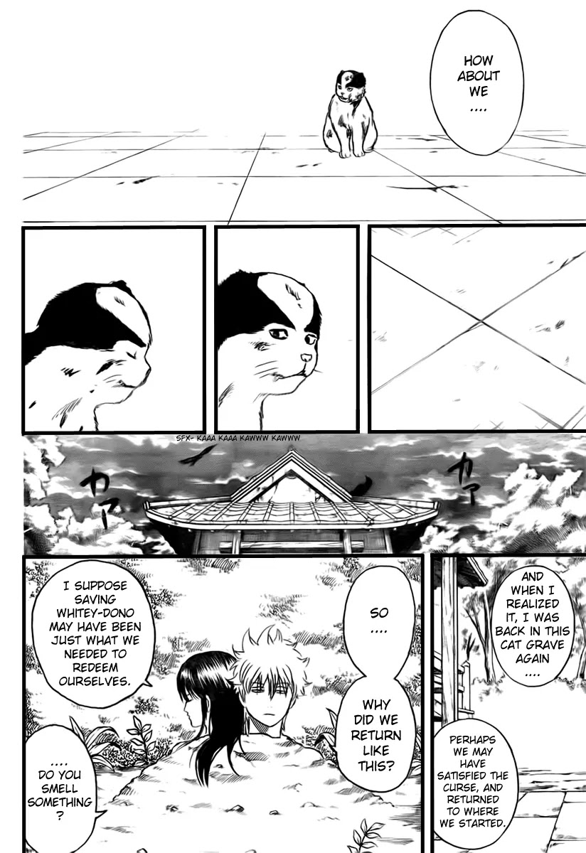 Gintama Chapter 279 page 16 - Chapter 279 : Kabuki cho Alleycat blues