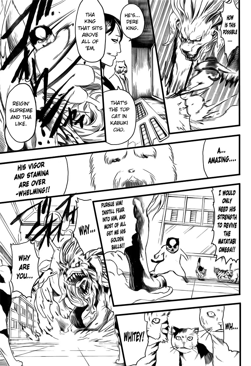 Gintama Chapter 279 page 3 - Chapter 279 : Kabuki cho Alleycat blues