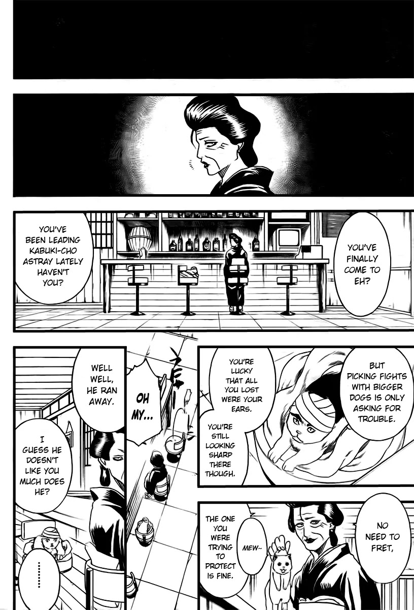 Gintama Chapter 279 page 6 - Chapter 279 : Kabuki cho Alleycat blues