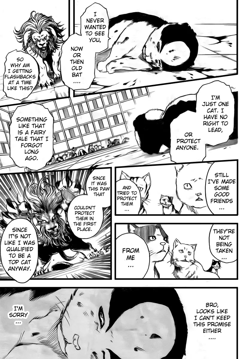 Gintama Chapter 279 page 9 - Chapter 279 : Kabuki cho Alleycat blues