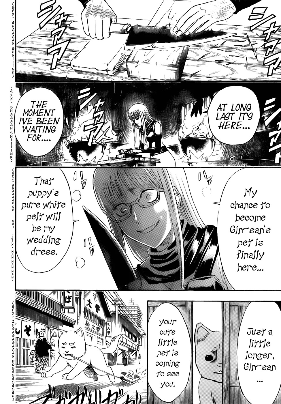 Gintama Chapter 401 page 14 - Chapter 401 : Dog Food Has Less Taste than it Appears to