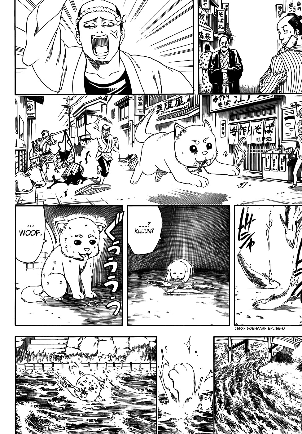 Gintama Chapter 402 page 10 - Chapter 402 : Dog Food Makes for a Surprisingly Good Snack to go with Alchohol