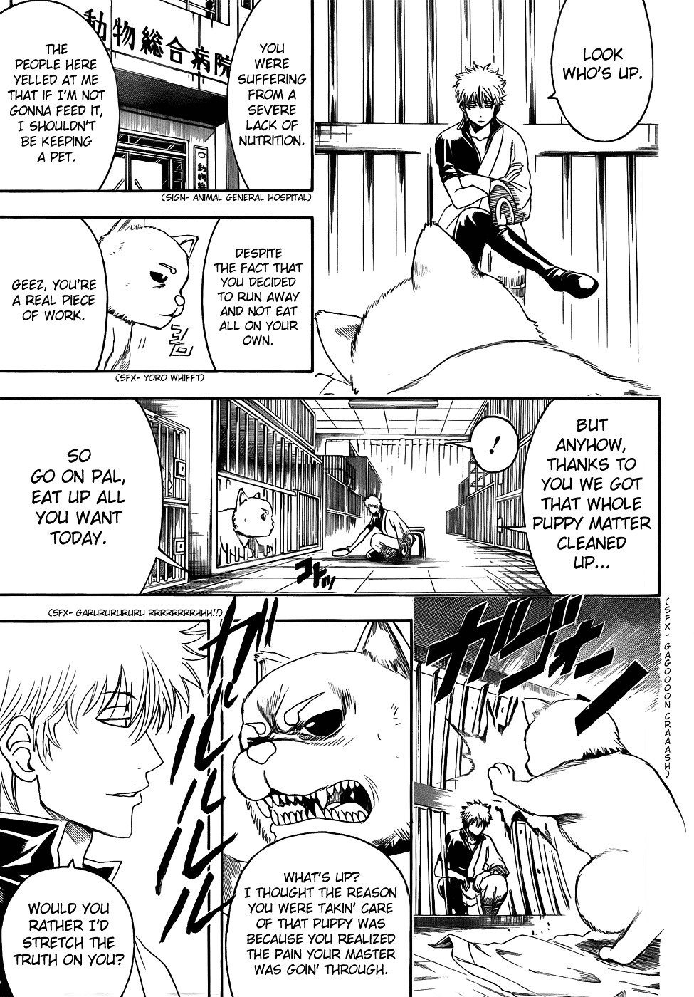 Gintama Chapter 402 page 15 - Chapter 402 : Dog Food Makes for a Surprisingly Good Snack to go with Alchohol