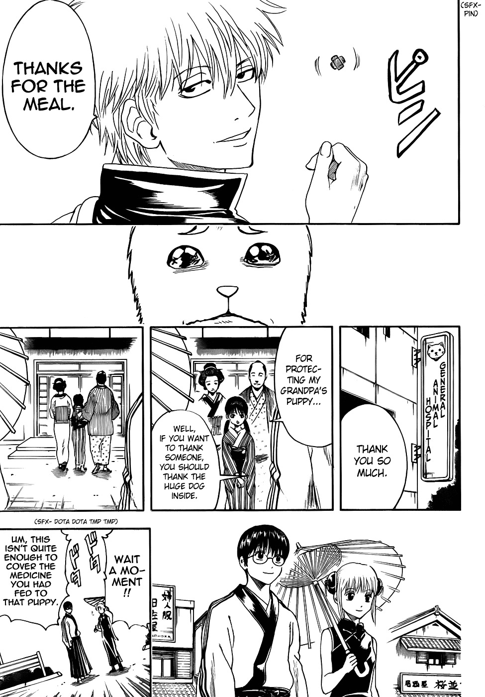 Gintama Chapter 402 page 17 - Chapter 402 : Dog Food Makes for a Surprisingly Good Snack to go with Alchohol