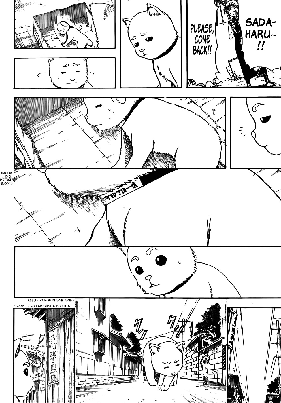 Gintama Chapter 402 page 4 - Chapter 402 : Dog Food Makes for a Surprisingly Good Snack to go with Alchohol