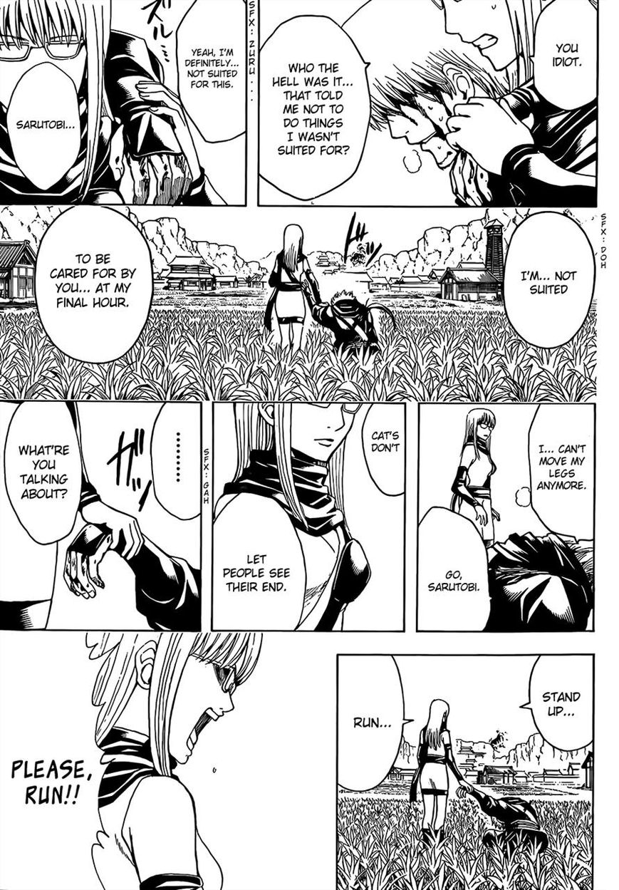 Gintama Chapter 510 page 11 - Chapter 510 : Samurai And Shinobi