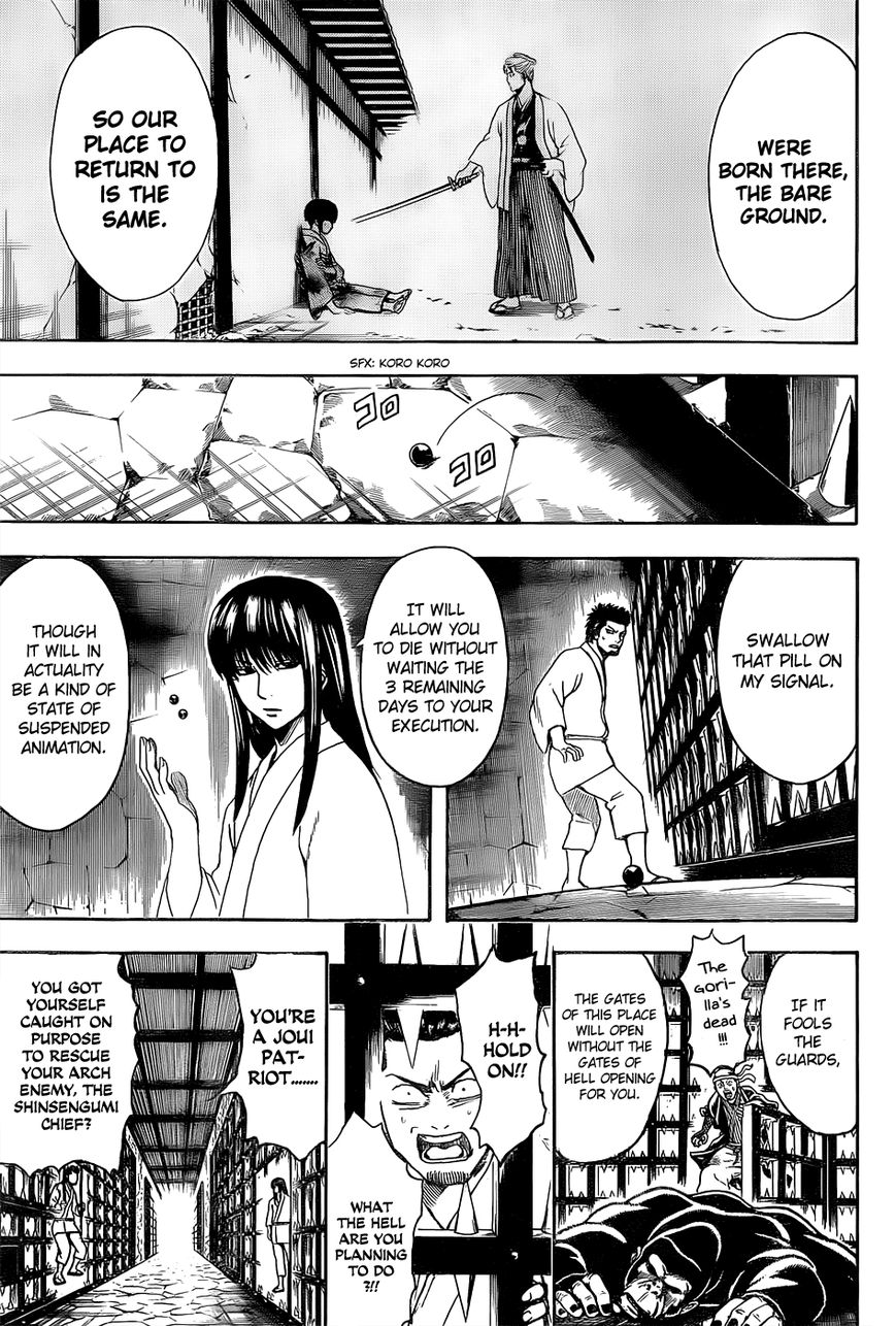 Gintama Chapter 529 page 7 - Chapter 529 : Forgotten Thing