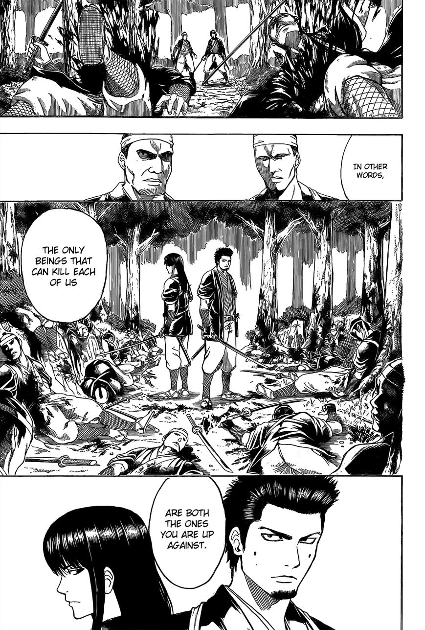 Gintama Chapter 534 page 5 - Chapter 534 : Iron Rules of Surveillance